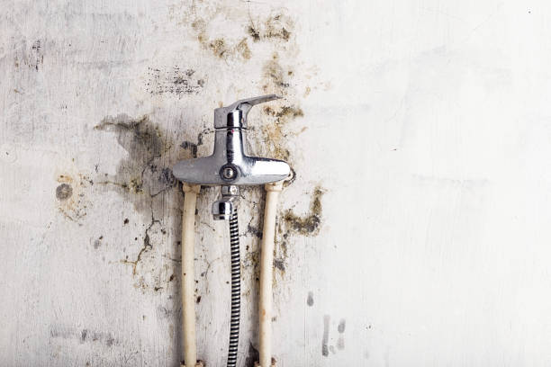 Best Localized Mold Remediation (e.g., coastal areas, humid climates) in Marlton, MD