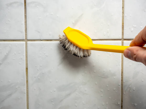 Best Post-Flood Mold Remediation in Marlton, MD