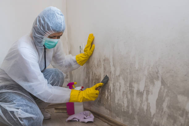 Best Crawl Space Mold Remediation in Marlton, MD
