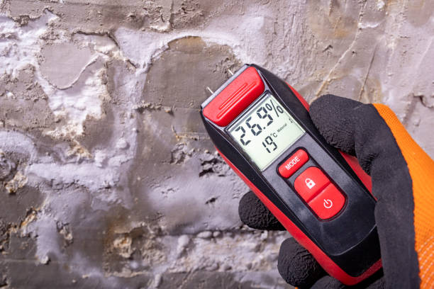 Best Health and Safety Mold Remediation in Marlton, MD