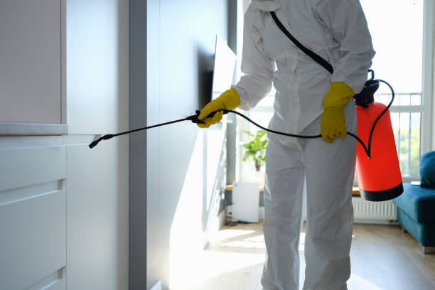 Best Kitchen Mold Remediation in Marlton, MD