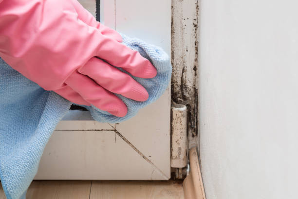 Best Industrial Mold Remediation in Marlton, MD